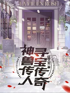 《神兽传人寻宝传奇》小说封面