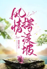 《风情摆渡坡》小说封面