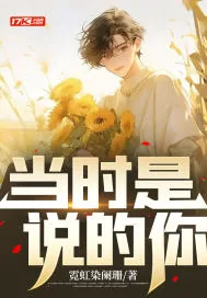 《当时是说的你》小说封面
