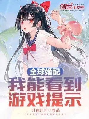 《全球婚配：我能看到游戏提示》小说封面