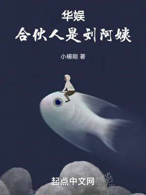《华娱：合伙人是刘阿姨！》小说封面