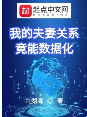 《我的夫妻关系竟能数据化》小说封面
