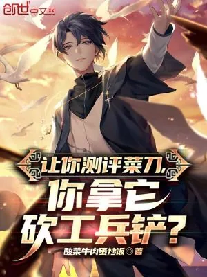 《让你测评菜刀,你拿它砍工兵铲?》小说封面
