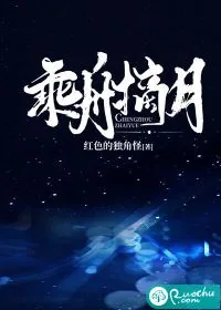 《乘舟摘月》小说封面