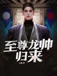 《至尊龙帅归来》小说封面