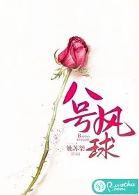《八号风球》小说封面