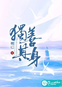 《独善其身》小说封面
