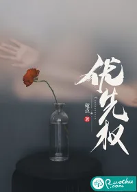 《优先权》小说封面