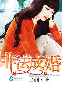 《非法成婚》小说封面