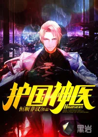 《护国神医》小说封面