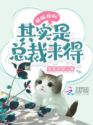 《猫猫我啊,其实是总裁来得》小说封面