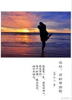 《你好,我的维纳斯》小说封面