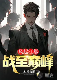 《风起江都：战至巅峰》小说封面
