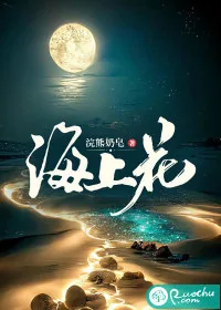 《海上花》小说封面