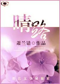 《晴路》小说封面