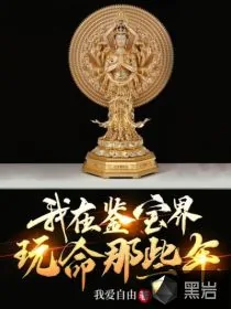 《我在鉴宝界玩命那些年》小说封面