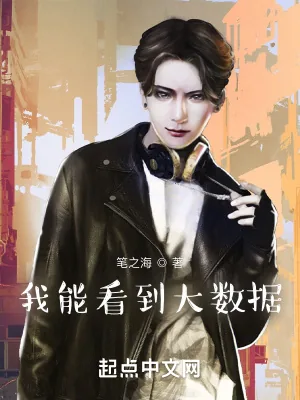 《我能看到大数据》小说封面