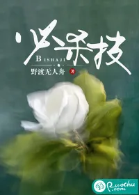 《必杀技》小说封面