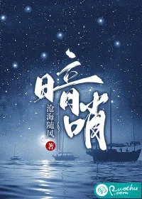 《暗哨》小说封面