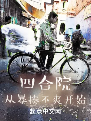 《四合院：从暴揍不爽开始》小说封面