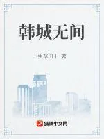 《韩城无间》小说封面