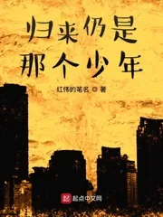 《归来仍是那个少年》小说封面