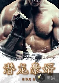 《潜龙豪婿》小说封面