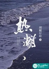 《热潮》小说封面