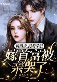 《新婚夜，挺着孕肚嫁首富被亲哭了》小说封面