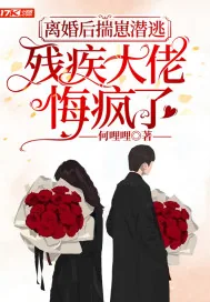 《离婚后揣崽潜逃，残疾大佬悔疯了》小说封面