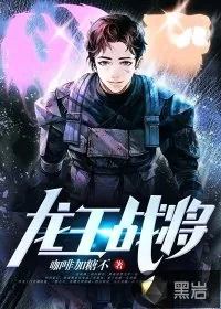 《龙王战将》小说封面
