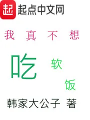 《我真不想吃软饭》小说封面