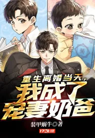 《重生离婚当天，我成了宠妻奶爸》小说封面