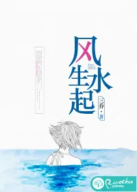 《风生水起》小说封面