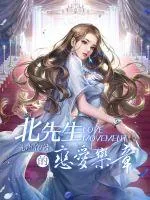 《北先生的恋爱乐章》小说封面