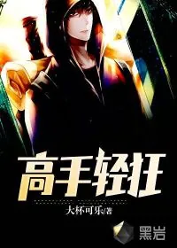 《高手轻狂》小说封面
