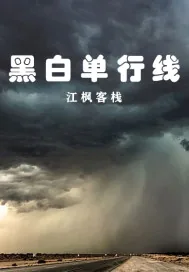 《黑白单行线》小说封面