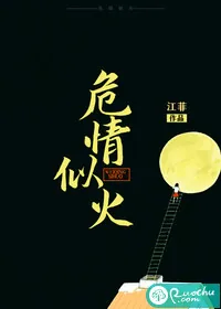 《危情似火》小说封面