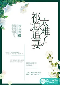《祁总追妻太难了》小说封面