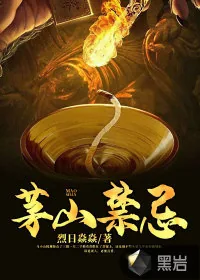 《茅山禁忌》小说封面