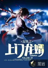 《复仇之上门龙婿》小说封面