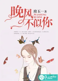 《晚风不似你》小说封面
