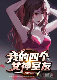 《我的四个女神室友》小说封面