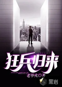 《狂兵归来》小说封面