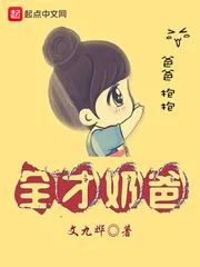 《全才奶爸》小说封面