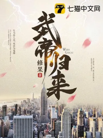《武帝归来》小说封面