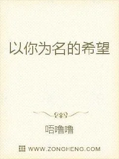 《以你为名的希望》小说封面