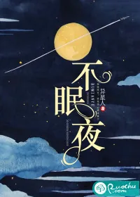 《不眠夜》小说封面
