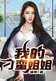 《我的刁蛮姐姐》小说封面
