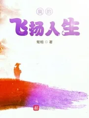 《我的飞扬人生》小说封面